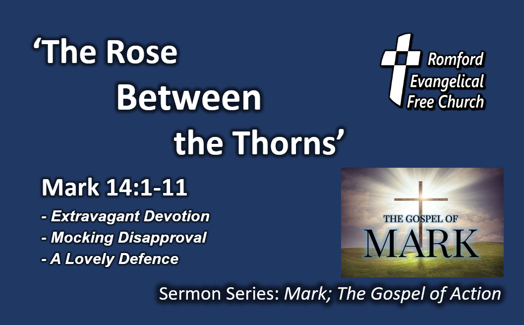 Sunday30June24amSM