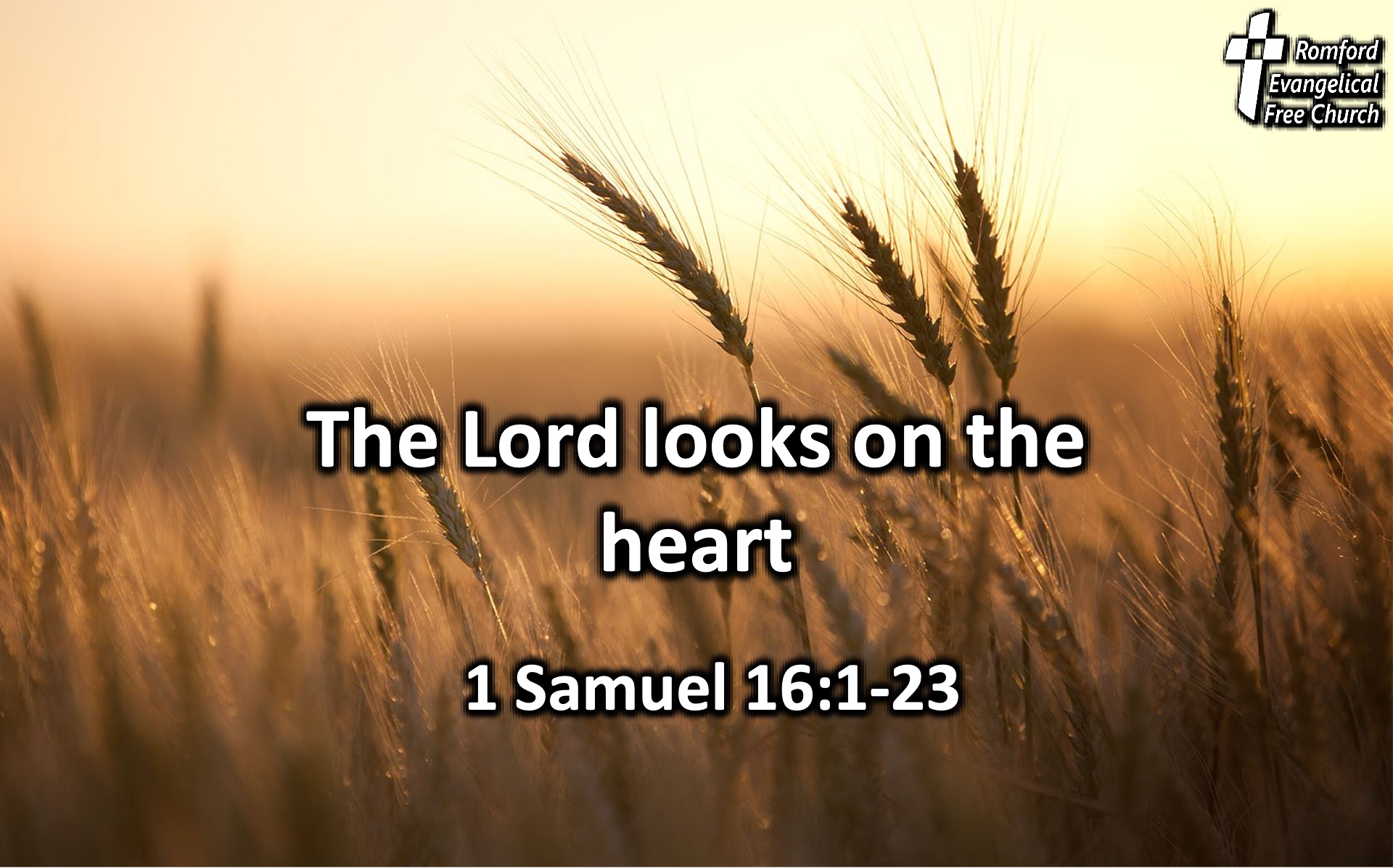 The Lord Looks on the Heart